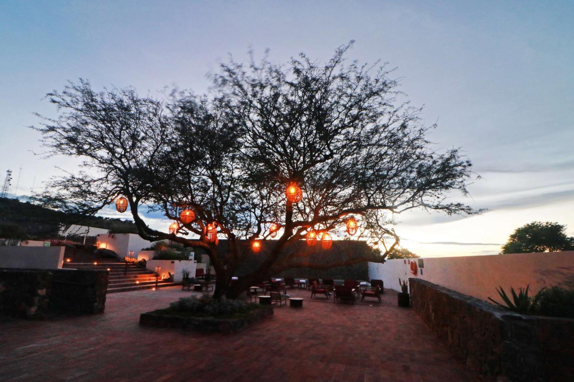 Albor San Miguel De Allende, Tapestry Collection By Hilton Hotel 5*